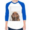 50/50 Raglan Three-Quarter Sleeve Tee Thumbnail